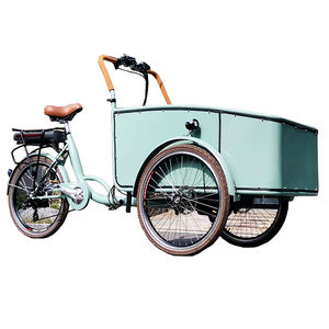 Vélo <span class=keywords><strong>cargo</strong></span> hollandais populaire à 3 roues, tricycle électrique Bakfiets avec chariot - Product Image 1