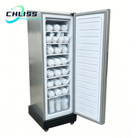 Congélateur solaire vertical 198L, machine à glaçons, 11 couches, congélateur DC, production de blocs de glace de 60 kg par jour pour usage domestique