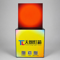 Lampe LED Art Déco carrée en acrylique avec effet coucher de soleil, peinture rétroéclairée faite à la main, contrôlée par application, pour décoration d'anniversaire ou de maison, idéale pour cheminée