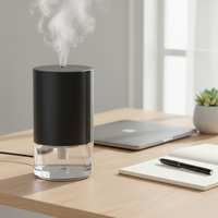 Diffuseur d'huiles essentielles sans eau en aluminium écologique pour bureau, 100 ml, pour espaces de 500 pieds carrés, pour voiture et maison