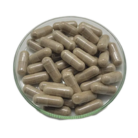 Poudre de Turkesterone de haute pureté 10% 20% / Extrait d'Ajuga Turkestanica pour la nutrition sportive et la croissance musculaire