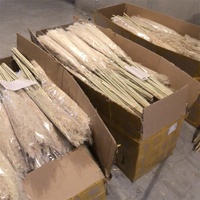 YAYUN CH2041 Bunga Kering Alami Rumput Pampas Besar untuk Dekorasi Pernikahan