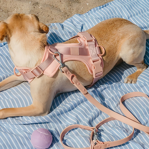 Ensemble collier, laisse et harnais pour chien en néoprène souple, couche d'air, confortable, respirant, léger, réglable, toutes saisons, polyester - Product Image 5