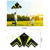 Printemps Sport de plein air Enfants Easy Fly Handheld Wings Fluttering Fishing Eagle Swallow Kites