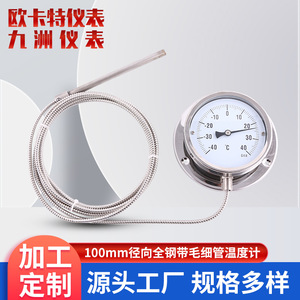 Termómetros Industriales Digitales Radiales de 100 mm, Suministros del Fabricante, Termómetros de Presión Totalmente de Acero, Tubos Capilares - Product Image 3