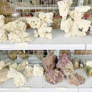 Pietra Artificiale per Acquario Marino <span class=keywords><strong>con</strong></span> Coltura di Batteri - Product Image 6