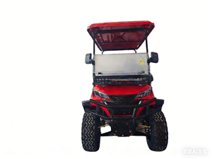 Carro de Golf Eléctrico Utilitario de 6 Pasajeros y 6 Asientos para Uso en Hoteles y Resorts - Product Image 5