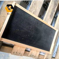 Cadres de ruche et fondations en plastique pour ruches d'abeilles à couvain profond avec cadres de ruche en bois et fondations en plastique