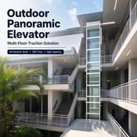 Ascensore Esterno per Casa Personalizzato, per Uso Interno ed Esterno, Villa, Cortile, Giardino, 320kg, 4 Persone, 2-4 Piani, Durevole, Silenzioso