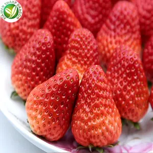 IQF Wholesale bulk organic whole fruit pulp quick frozen strawberry of importers price per ton