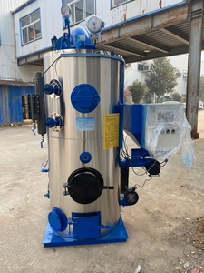 Chaudière Générateur Verticale Automatique à Biomasse et Charbon de Bois, Gamme Industrielle 200kg-2000kg, Incluant Diverses Options de Prix - Product Image 3