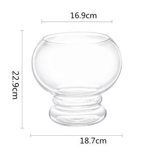 Macetas de vidrio transparente <span class=keywords><strong>para</strong></span> la decoración del escritorio del hogar Maceta de linterna de plantación de agua <span class=keywords><strong>para</strong></span> aplicaciones de jardín - Product Image 4