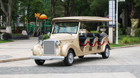 Vente chaude Parison Champagne Or Classique 12 places Bus touristique électrique et voiturettes de golf pour les touristes de la ville