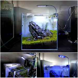 GAKO JL-24 Mini Luce LED a Clip per Acquario IP44 12V/0.5A 3.5W in Plastica con 24 LED Blu e Bianchi per Vasche di Pesci - Product Image 4