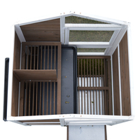 Cage pour pigeons en bois pour l'extérieur toutes saisons Cage pour oiseaux d'élevage