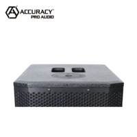 Système de haut-parleurs colonne Accuracy Pro Audio WI312AD, amplificateur de son professionnel pour scène, DJ, fête, home cinéma, caisson de basses