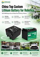 Batterie pour robot agricole Lithmate OEM, cycle profond, longue autonomie, 12V 24V 48V 72V 20Ah 45Ah 60Ah 100Ah 200Ah