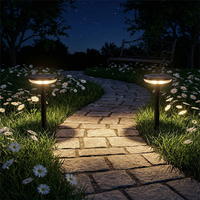 Lampes solaires étanches pour jardin extérieur, cour, villa, patio, allée, éclairage nocturne décoratif
