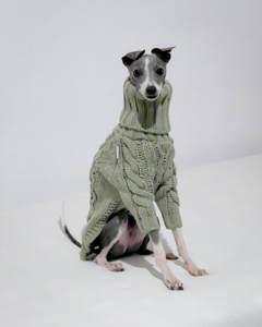 Suéter de Invierno para Mascotas, Cuello Alto, Algodón de Alta Gama, Color Verde Grisáceo, Tejido Grueso <span class=keywords><strong>con</strong></span> Líneas Trenzadas, para Perros Italian Greyhound y Whippet - Product Image 1