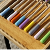 En stock Brosse à dents en bambou au charbon de bois à poils souples pour le nettoyage des dents, biodégradable