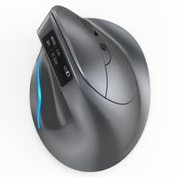 Souris verticale sans fil personnalisée OEM d'usine, ergonomique, double mode BT 2.4G, écran OLED, rechargeable, vente en gros pour ordinateur portable et PC