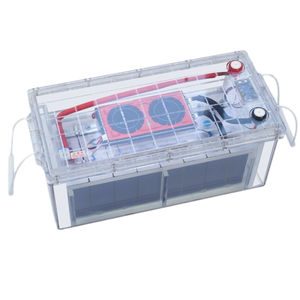 <span class=keywords><strong>Batteria</strong></span> ricaricabile da <span class=keywords><strong>12</strong></span> <span class=keywords><strong>volt</strong></span> lifepo <span class=keywords><strong>batteria</strong></span> al litio <span class=keywords><strong>12</strong></span> V 200Ah 3.2V 4 s2p <span class=keywords><strong>12</strong></span> v <span class=keywords><strong>batteria</strong></span> al litio <span class=keywords><strong>per</strong></span> luce a <span class=keywords><strong>LED</strong></span> - Product Image 2