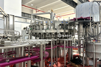 Machine de remplissage automatique de boissons gazeuses à petite échelle à bon prix