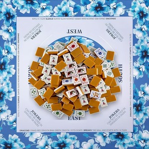 Juego de Mahjong Americano de Lujo Moderno, 160 Piezas, 36 mm, Fichas Acrílicas Grabadas de 4 Capas con Diseño de <span class=keywords><strong>Paloma</strong></span> Floral Azul - Product Image 1