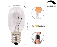 Ampoule de remplacement pour lampe de sel de roche E12 E14, ampoules de 15 watts pour lampe de sel de l'Himalaya