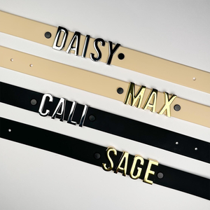 Collare per <span class=keywords><strong>Cani</strong></span> Personalizzato in PVC con Lettere Iniziali e Braccialetto in Pelle per Creazione di Gioielli Fai-da-Te - Product Image 4