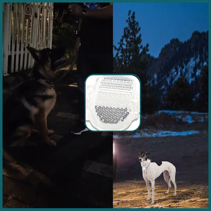 Boucles réfléchissantes personnalisables pour colliers pour animaux de compagnie, boucles réfléchissantes de sécurité pour animaux de compagnie en gros, améliore la visibilité et la sécurité pour les animaux de compagnie - Product Image 4