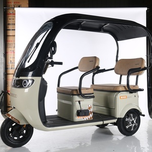 New Design China <b>Cheap</b> Adult Electric Tricycle 3 Wheeler Closed Body 600W 48V Electric Vehicle for 3 People - Product Image 3
