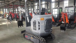 Punto de Partida Confiable: 2 Toneladas de Calidad Duradera, Motor Laidong para Escort, Tu Primer Paso hacia la Construcción Profesional - Product Image 3