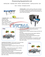 Automatische productielijn voor diepvriesgroenten, geschikt voor broccoli, spinazie, erwten, maïs en aardappel.
