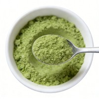 Fabricant Professionnel de Poudre de Brocoli Lyophilisée FD, Poudre de Légumes de Qualité Export, Poudre de Brocoli Séchée par Congélation
