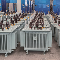 Transformateur de distribution d'énergie extérieur triphasé immergé dans l'huile à enroulement en cuivre 480V pour sous-station de ferme solaire