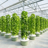 Système de culture commercial pour plantes, tour aéroponique de jardin, tour hydroponique verticale pour légumes