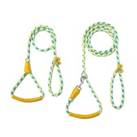 Fournitures pour animaux de compagnie usine refonte meilleure vente chien Slip plomb pour la formation corde ronde chien formation collier laisse laisse pour animaux de compagnie