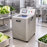 Automatische groentespinner, commerciële saladecentrifuge, centrifugale fruit- en groenteontwateringsmachine