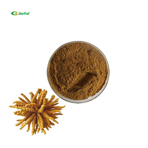 Bubuk ekstrak cordyceps militaris 0.3% 1% 3% ekstrak cordyceps sinensis ekstrak cordyceps militaris ekstrak - Product Image 3