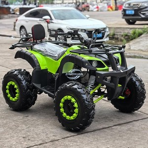 Vehículo Todoterreno de Cuatro Ruedas, Quad Buggy, Fuente de Alimentación de 72V, Transmisión Automática, Construcción de Acero, Carga de 300 kg - Product Image 5