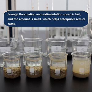 PAM8403 PAM8610 polyelectrolyte <span class=keywords><strong>MSDS</strong></span> 12 triệu Anion <span class=keywords><strong>Polyacrylamide</strong></span> Poly acrylamide bột màu trắng praestol <span class=keywords><strong>flocculant</strong></span> nước - Product Image 4