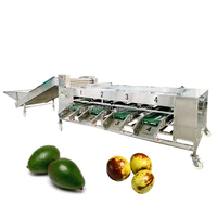 Industriële zuurzoete citroen-ananas-olijf-kersen-vijgen fruitgrootte kalibratie-rollenbaan sorteer- en sorteermachine