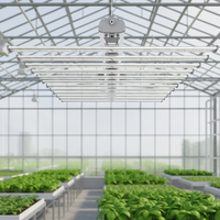 Barres de lampes de culture LED à spectre complet Pro Grow Led Light Pro 1700e Lampe de culture LED