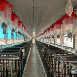 ลังตั้งครรภ์หรือคอกหว่านทำจากโลหะสำหรับเลี้ยงหมูในช่วงระยะเวลาตั้งท้อง - Product Image 1