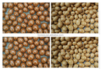 Mesin Pelapis Cokelat Tepung Jagung Kedelai Kontrol Tombol Mesin Gula Kacang Almond