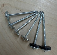 Clous en béton ondulé BWG9 de 3 pouces, les plus vendus, tige spirale lisse, pointe diamantée, acier de haute qualité, fabriqué en Chine