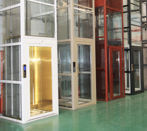 Uso domestico esterno/interno ascensore elettrico passeggeri <span class=keywords><strong>in</strong></span> acciaio inox 300KG capacità di carico <span class=keywords><strong>residenziale</strong></span> a buon mercato ascensore per la <span class=keywords><strong>vendita</strong></span> - Product Image 2