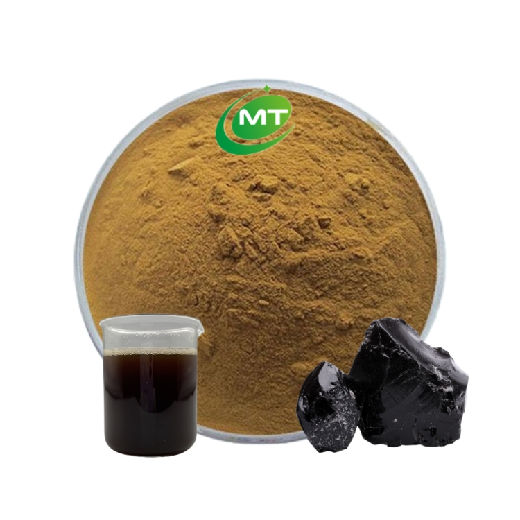 Shilajit extrait 20% gélules Pullulan - ABC DE LA NATURE
