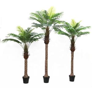 Plante artificielle <span class=keywords><strong>Phoenix</strong></span> Roebelenii de 150cm de haut avec <span class=keywords><strong>pot</strong></span> - Product Image 1